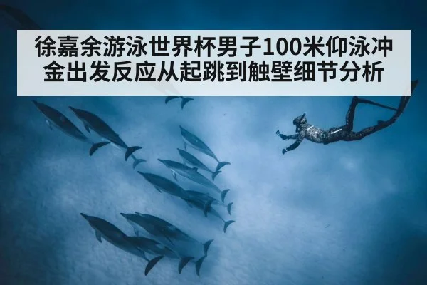 徐嘉余游泳世界杯男子100米仰泳冲金出发反应从起跳到触壁细节分析 | kaiyun